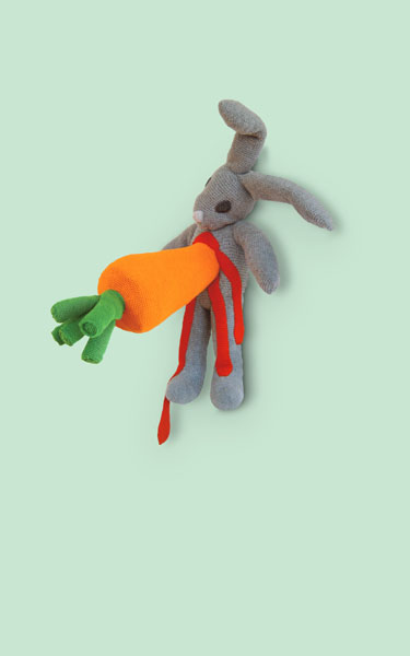 13223_1711_rabbit3_freigruen