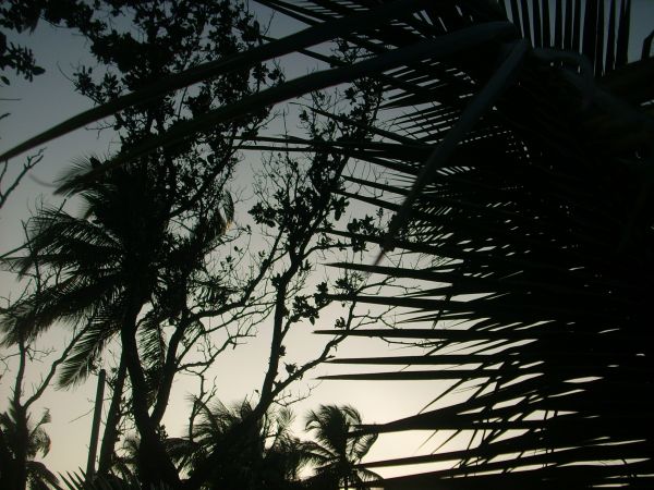 dsci0267.jpg dsci0267.jpg